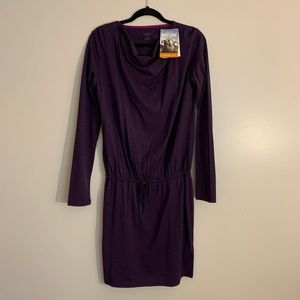 INWT Icebreaker Iris Merino dress
